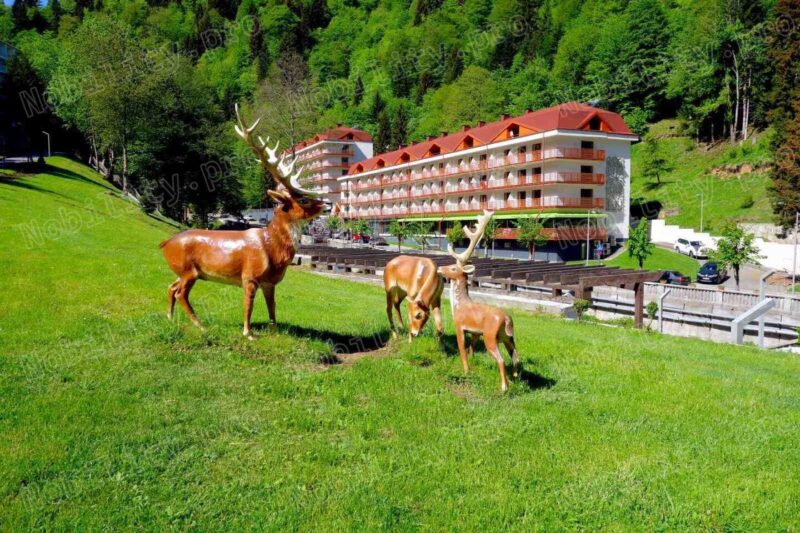 Sairme Spa Resort