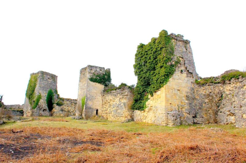 Georgia fortress Chakvinji castle