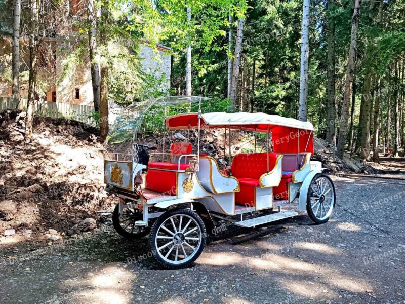 Borjomi Green Mobility