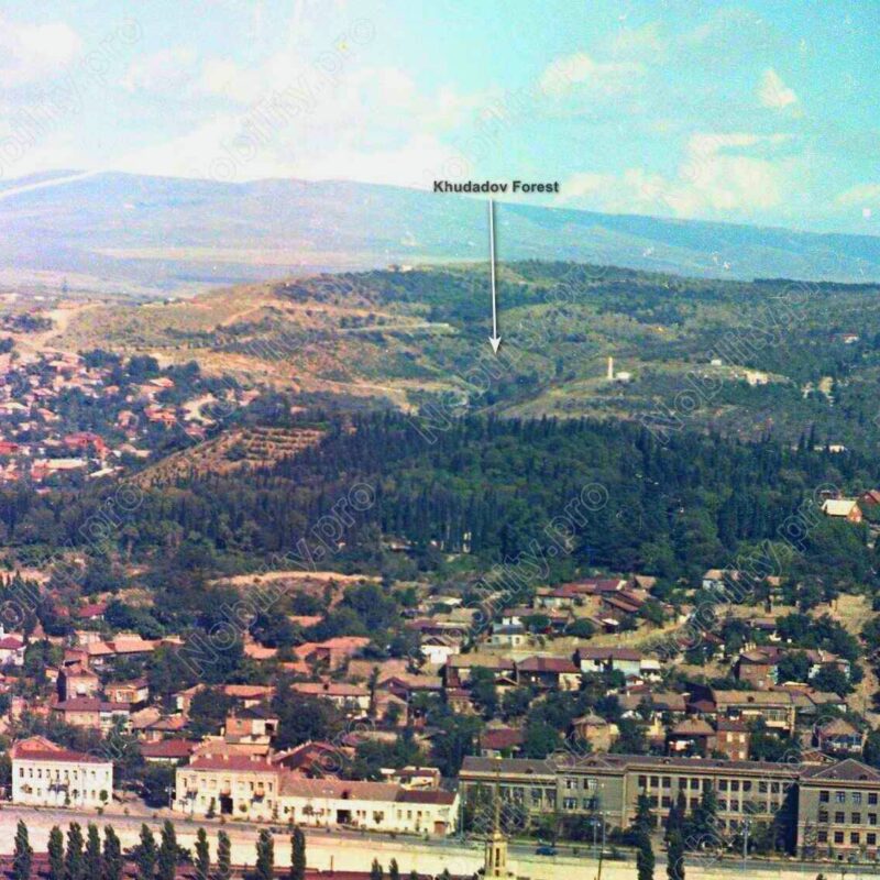 Tbilisi Forest Khudadov